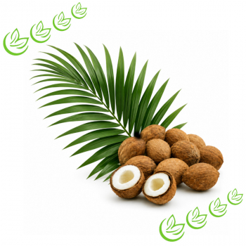 Babassuöl kaltgepresst 450 g